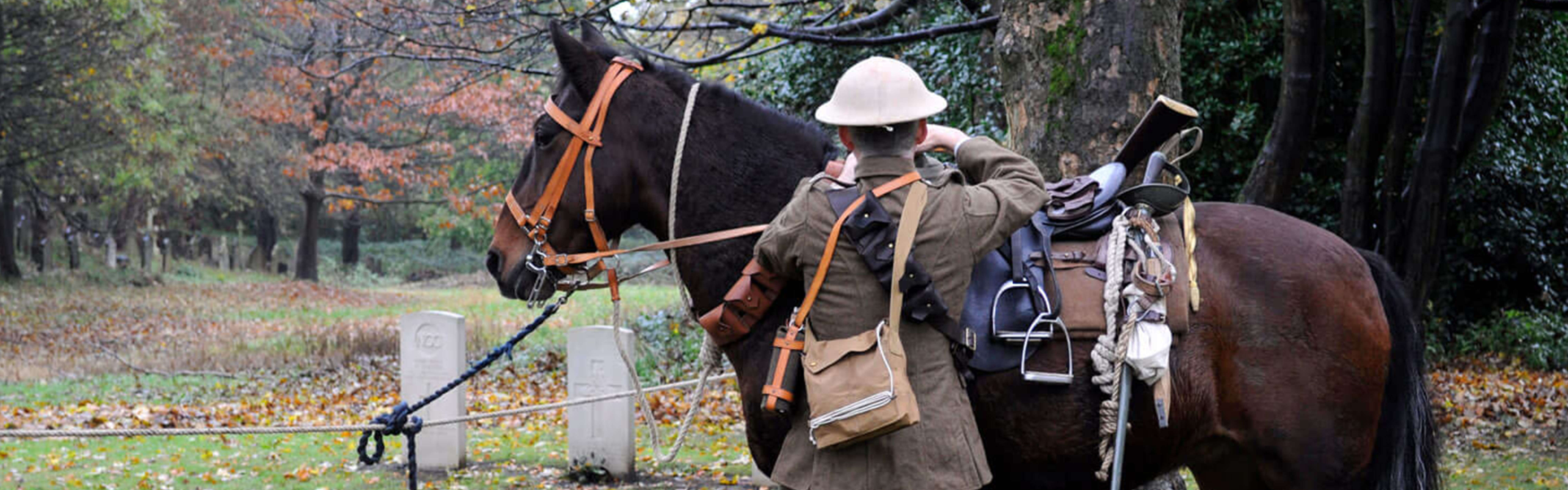 War Horse with soldier and war graves